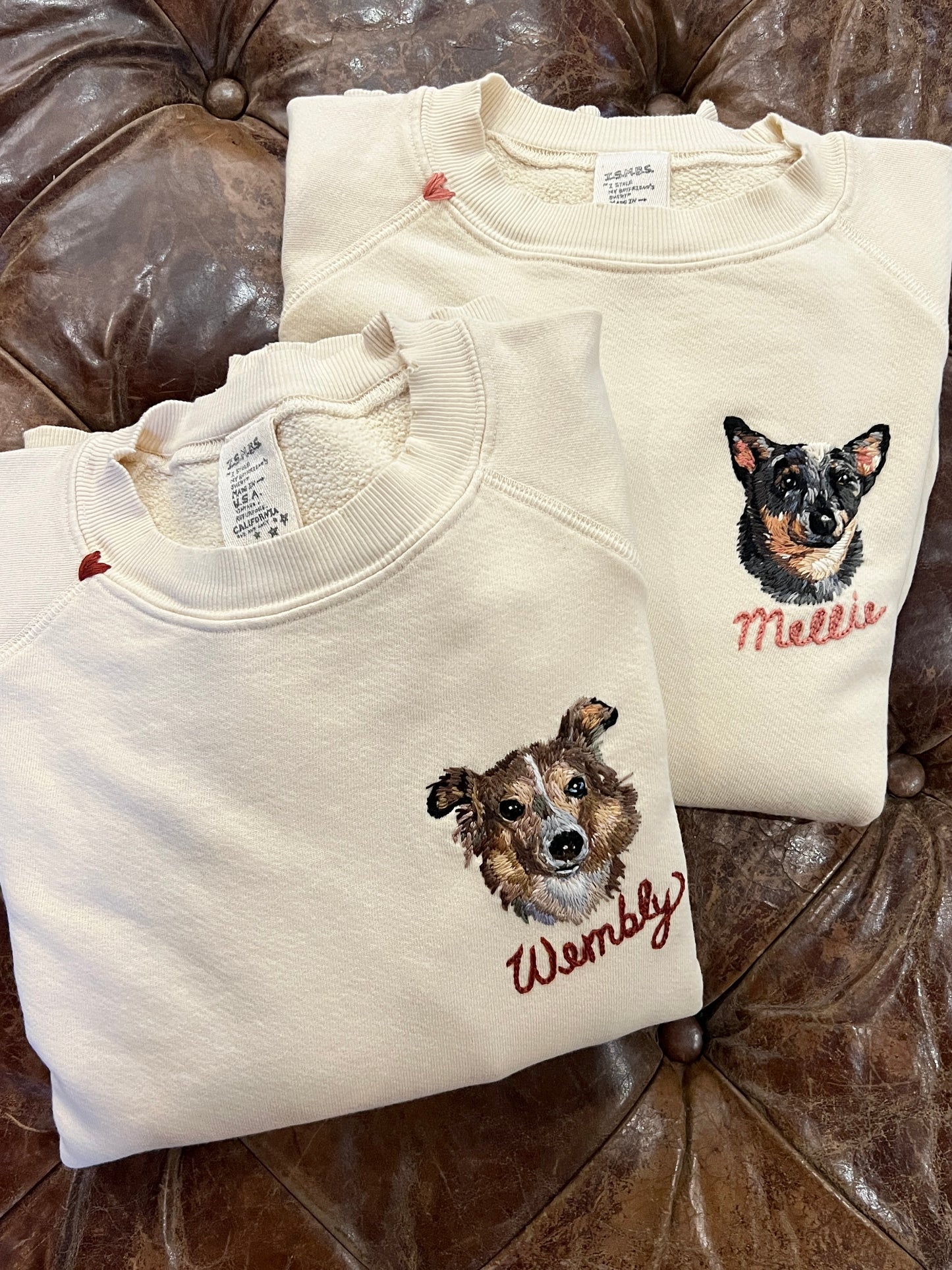 Translate Your Pet Photo into Colorful Embroidery Sweatshirt (Upload a Photo of Your Pet)