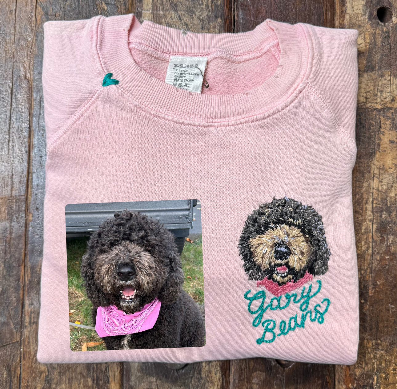 Translate Your Pet Photo into Colorful Embroidery Sweatshirt (Upload a Photo of Your Pet)