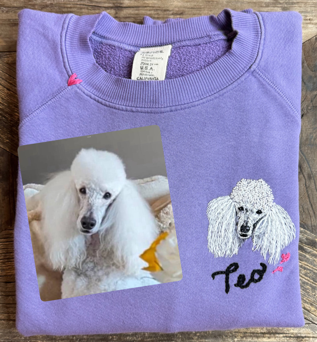 Translate Your Pet Photo into Colorful Embroidery Sweatshirt (Upload a Photo of Your Pet)