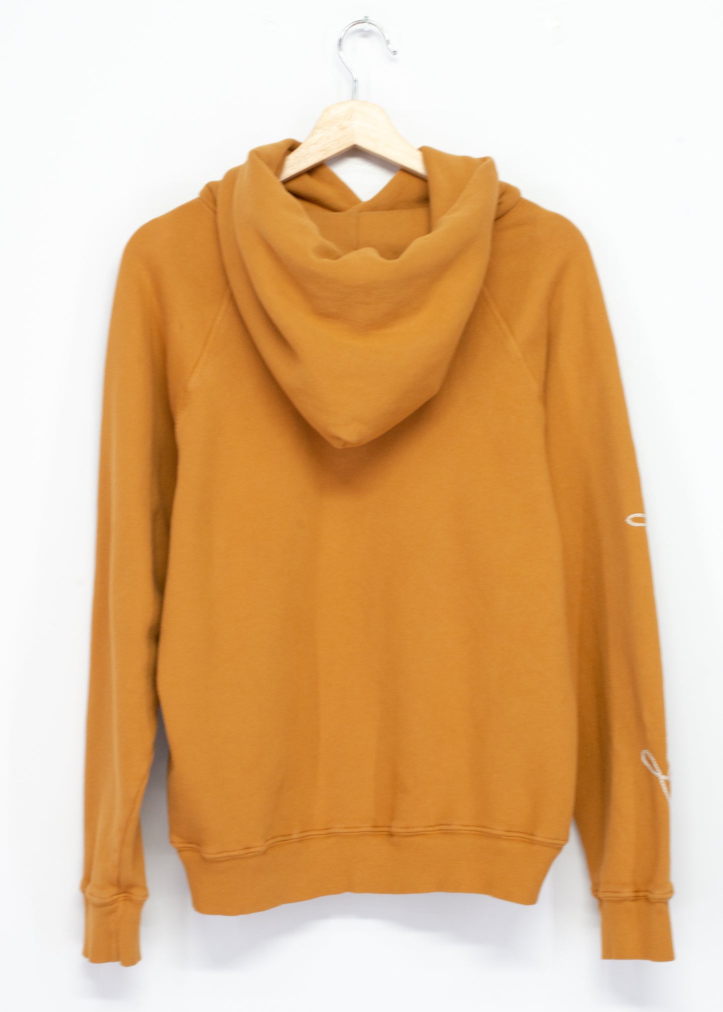 Absof**kinlutely Hoodie (5Colors)